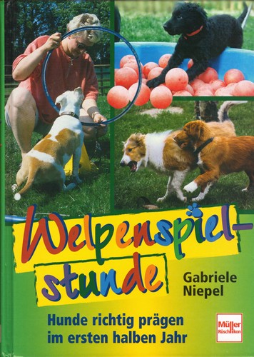 Titelbild Welpenspielstunde