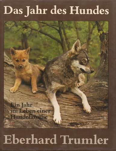 Titelbild Das Jahr des Hundes